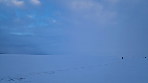 20250217_082543.jpg