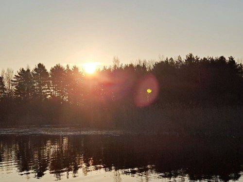 20250329_063807.jpg