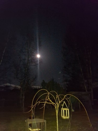 20250411_231341.jpg