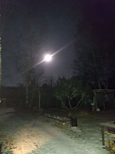 20250413_002918.jpg