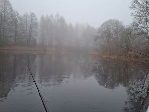 20250418_060147.jpg