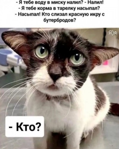 1747725401251.jpg