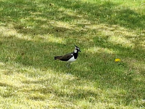 20250522_110326.jpg