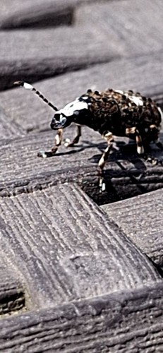 20250531_113240.jpg