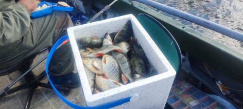 IMG_20250530_162932[1].jpg