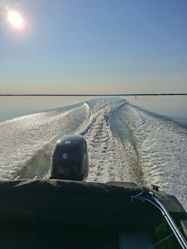 20250614_072713.jpg