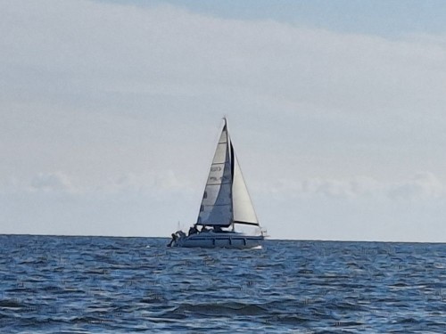 20250802_100417.jpg