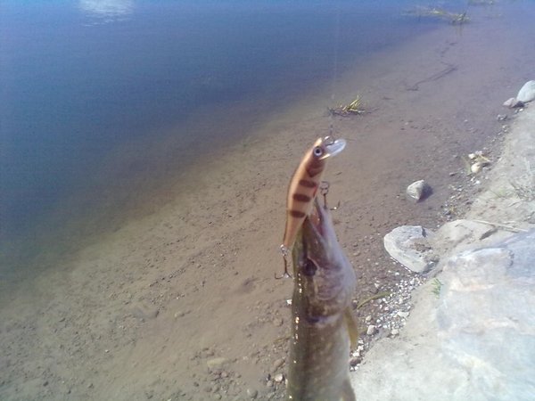 20110629286 1.jpg