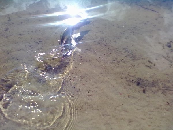 20110629305 1.jpg