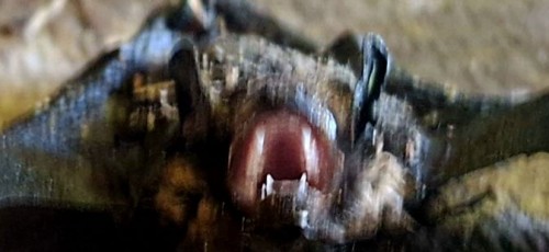 20250824_114928.jpg