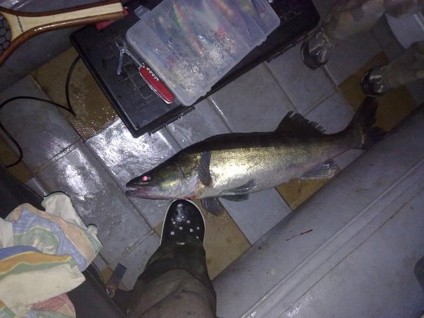 28062011019.jpg