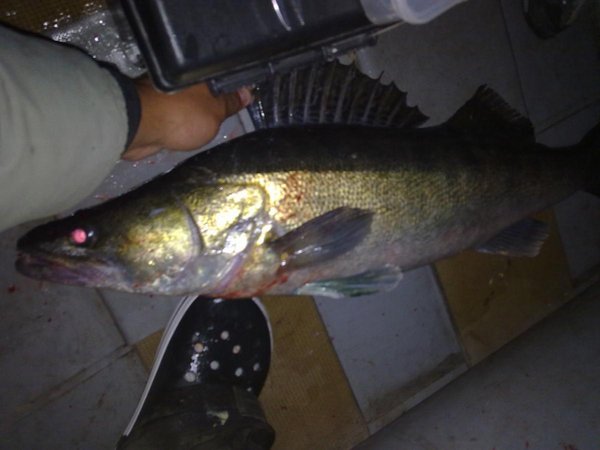 28062011020.jpg