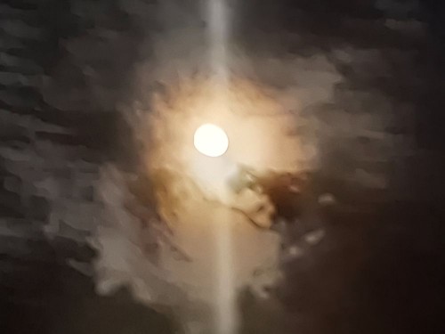 20250905_214515.jpg