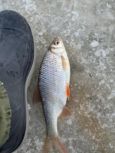 PHOTO-2026-01-25-16-27-19 2.jpg