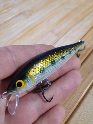 Продольная полоса сбоку сделана гелевой ручкой. Пятна следовало немного перекрыть фиолетовой краской.