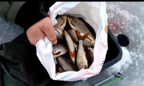 Screenshot 2026-03-11 103121.png