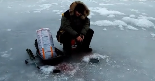 Screenshot 2026-03-11 103402.png