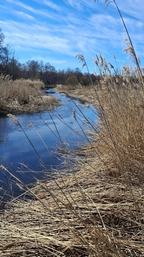 20260418_143318.jpg