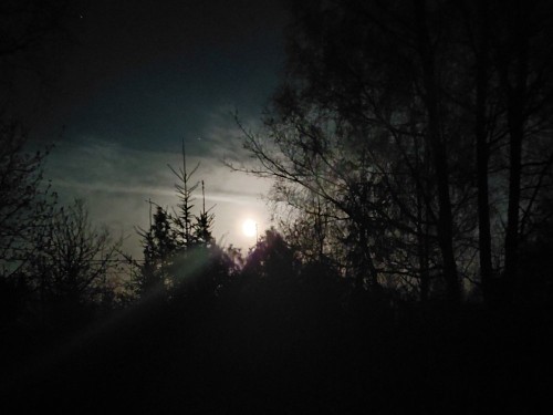 20260502_012733.jpg