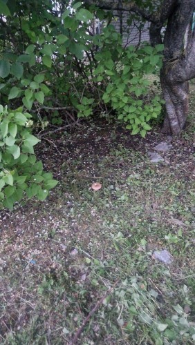20260616_223745.jpg