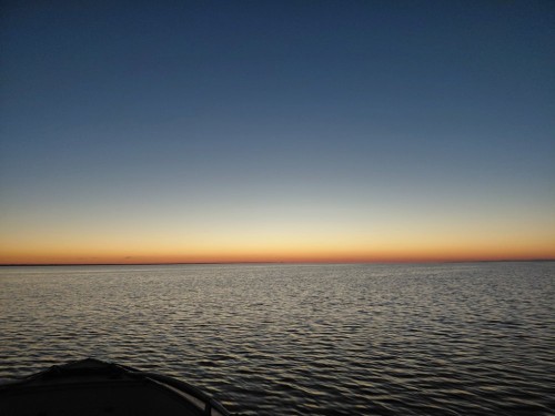 20260620_031030.jpg