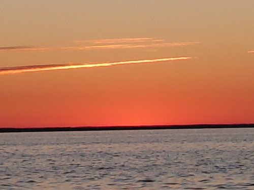 20260620_035227.jpg