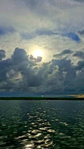 20260704_080448.jpg