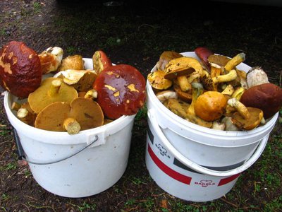 17.09.10 017ю4.jpg