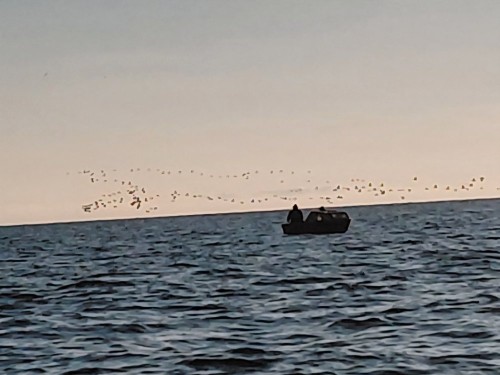 20260822_070752.jpg