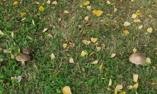 20260906_132511.jpg