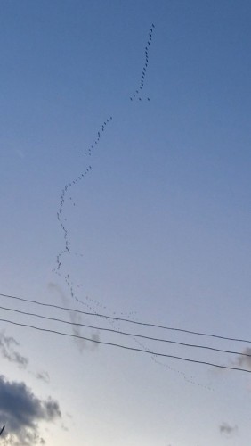 20260911_201030.jpg