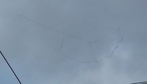 20261013_094823.jpg
