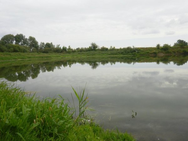 P7050001.JPG