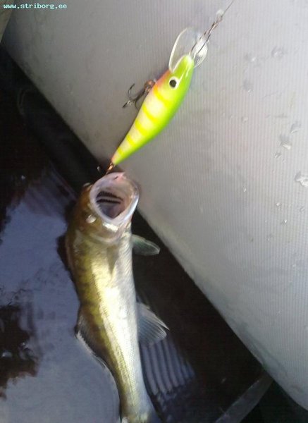 10072011705.jpg
