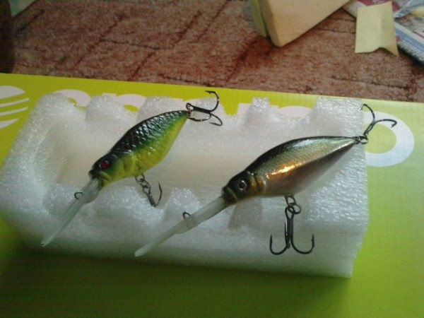 P170711_15.000001 (600 x 450).jpg