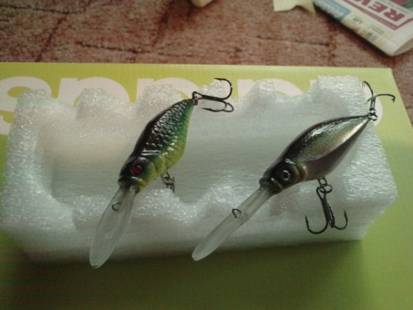 P170711_15.010002 (600 x 450).jpg