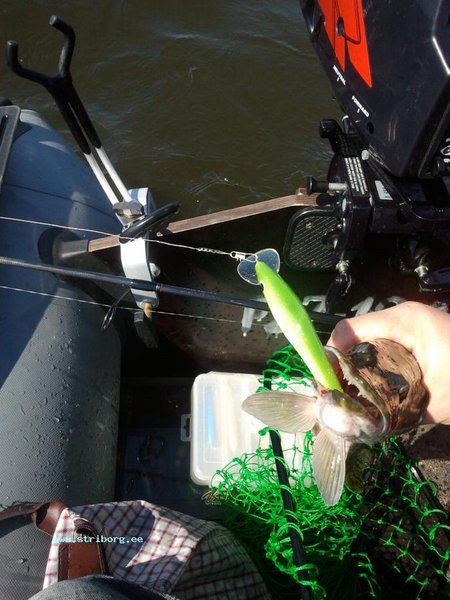 2011-07-18 12.58.16.jpg