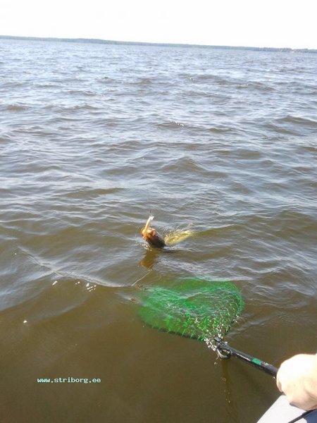 2011-07-18 13.44.03.jpg