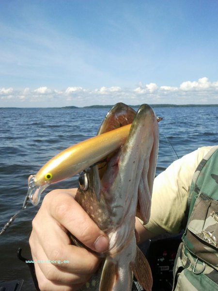 2011-07-18 13.46.25.jpg