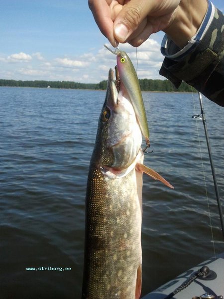 2011-07-18 15.05.16.jpg