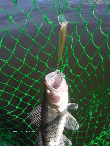 2011-07-18 15.12.27.jpg