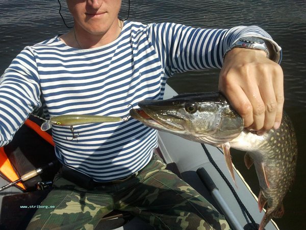 2011-07-18 15.37.14.jpg
