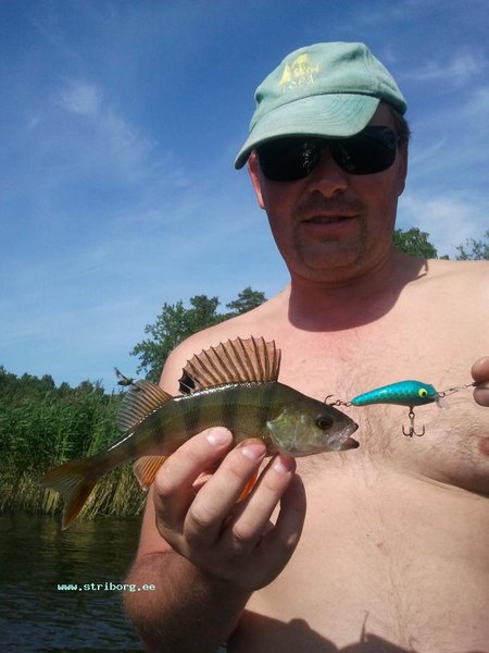 2011-07-18 15.47.14.jpg