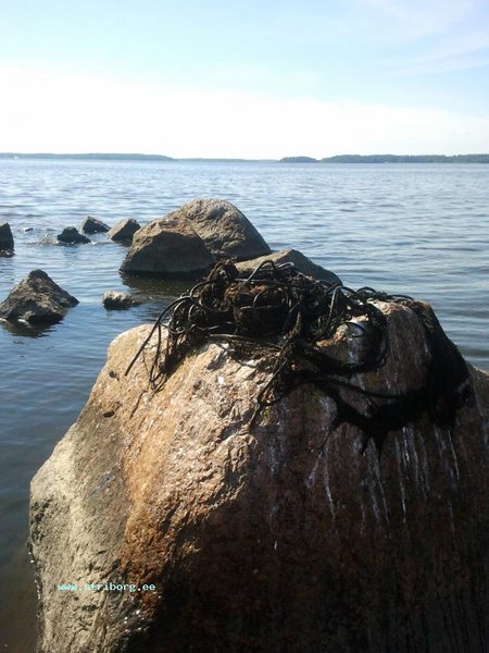 2011-07-18 16.47.07.jpg