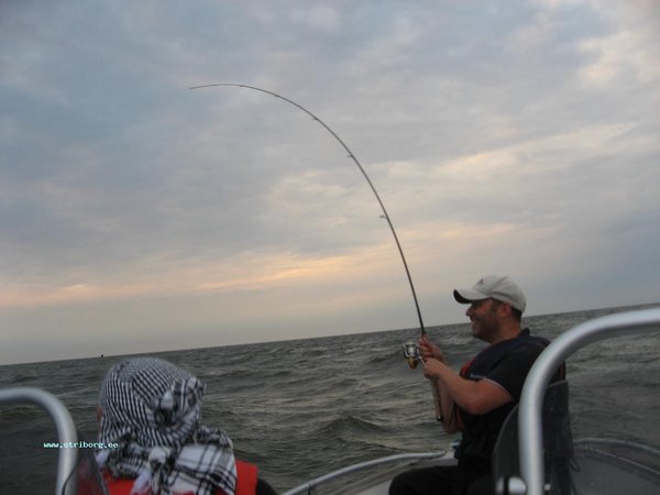 IMG_6927.jpg