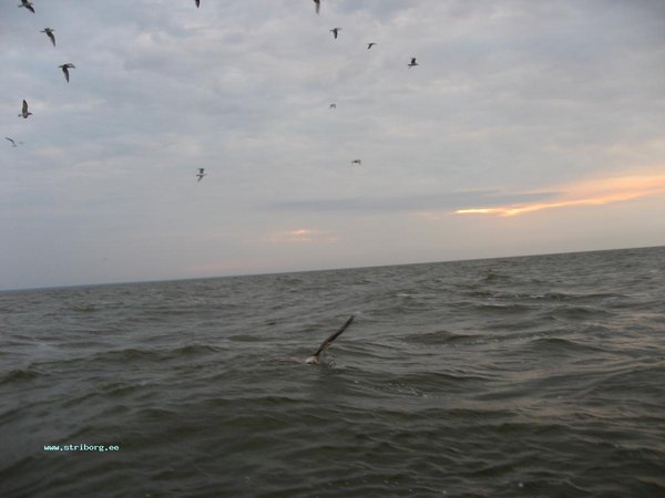 IMG_6930.jpg