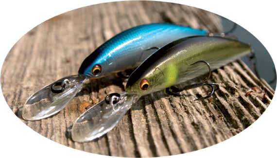 wobbler-startseite (570 x 325).jpg