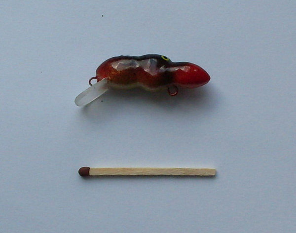55.jpg
