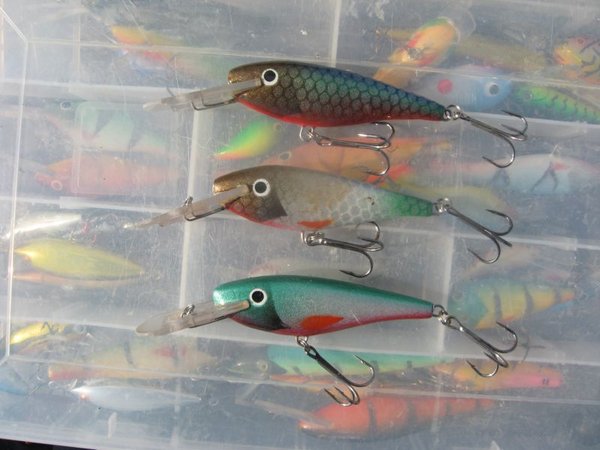 IMG_3618.jpg (68.57 КБ) 1010 просмотров после "боя"