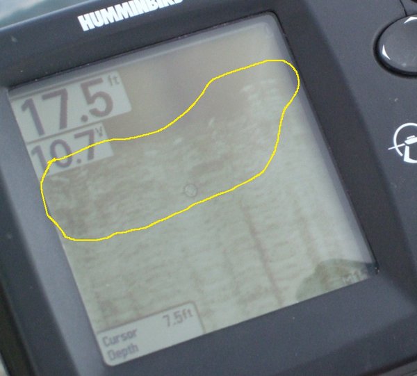 DSCF1074.JPG